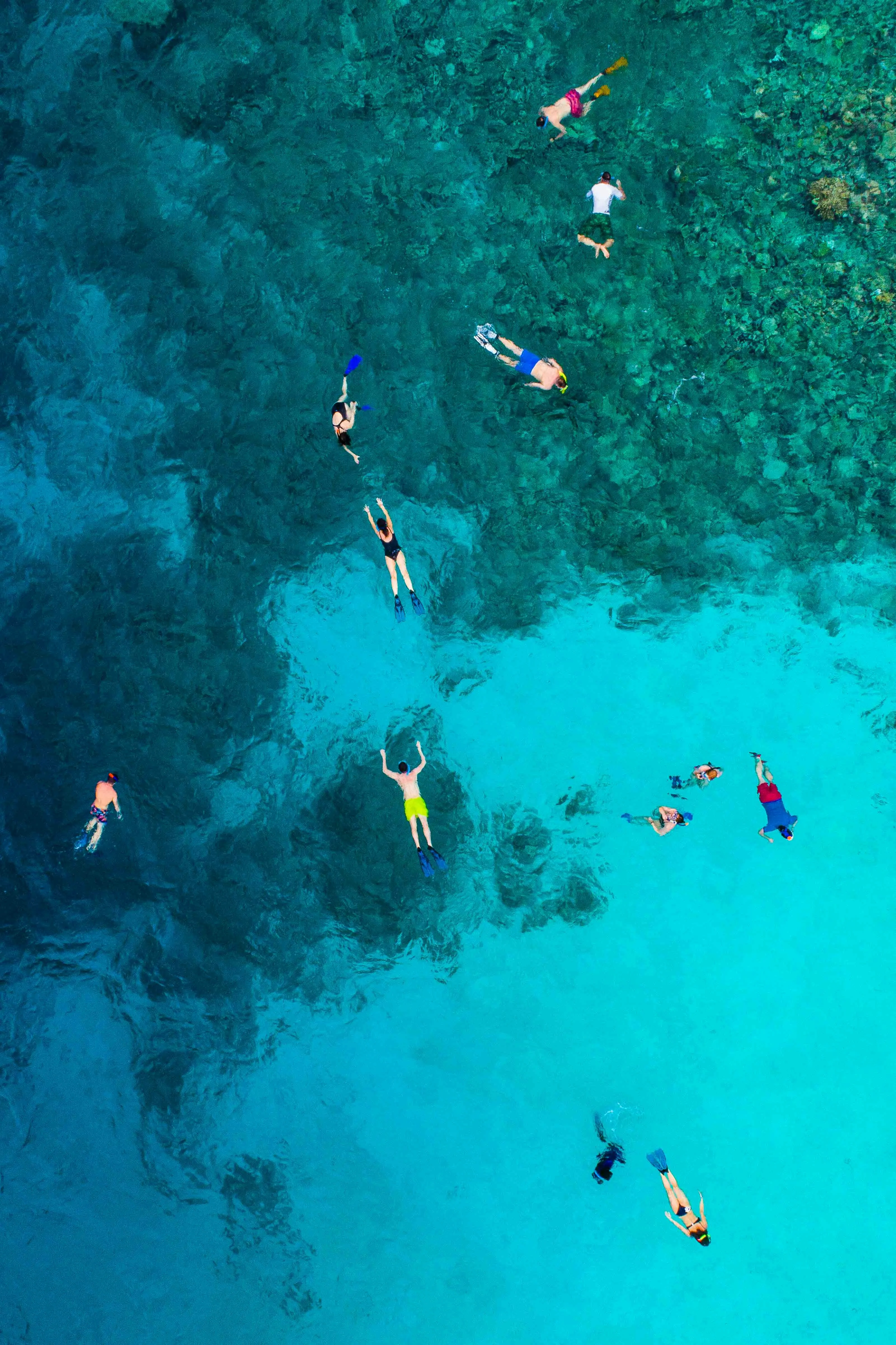 Gallery image 2