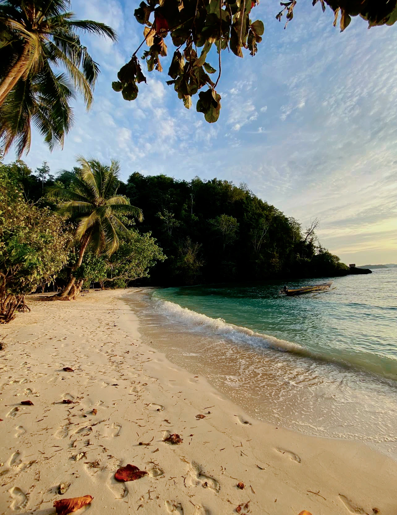 The Togean Mosaic