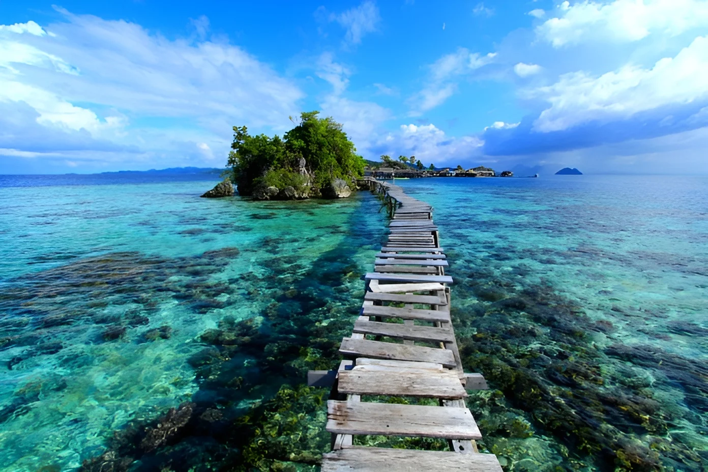 The Togean Mosaic