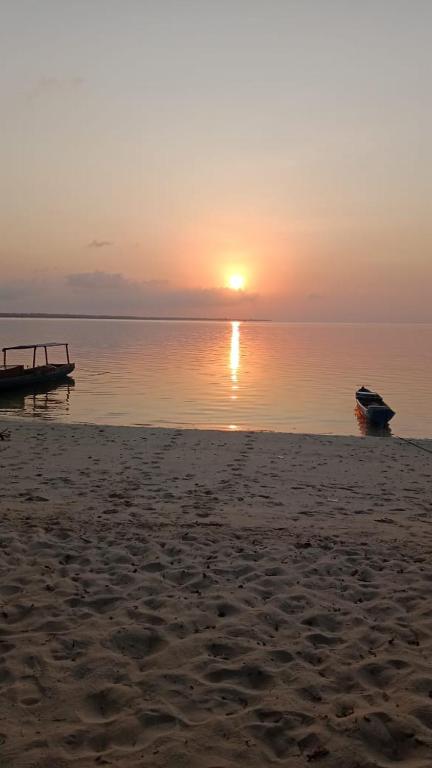 Hoga Island Dive Resort