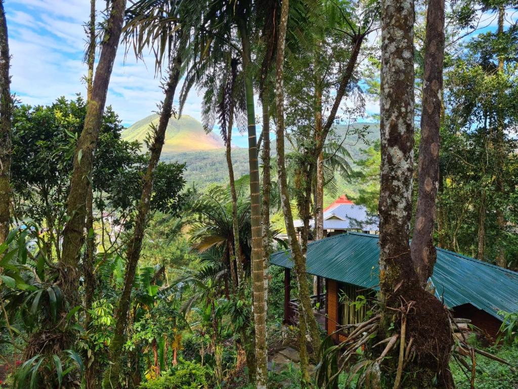 Rimba Eco Resort