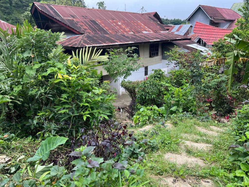 Mamasa Local House