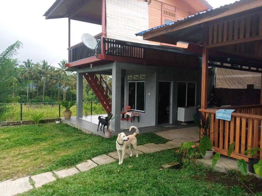 Homestay Alina