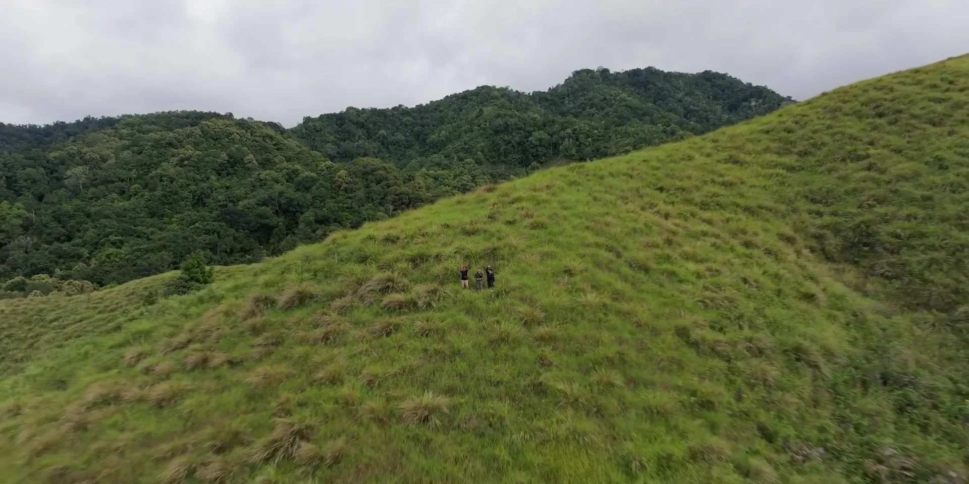 Lore Lindu Wilderness: Megalit Misterius & Satwa Hutan Hujan