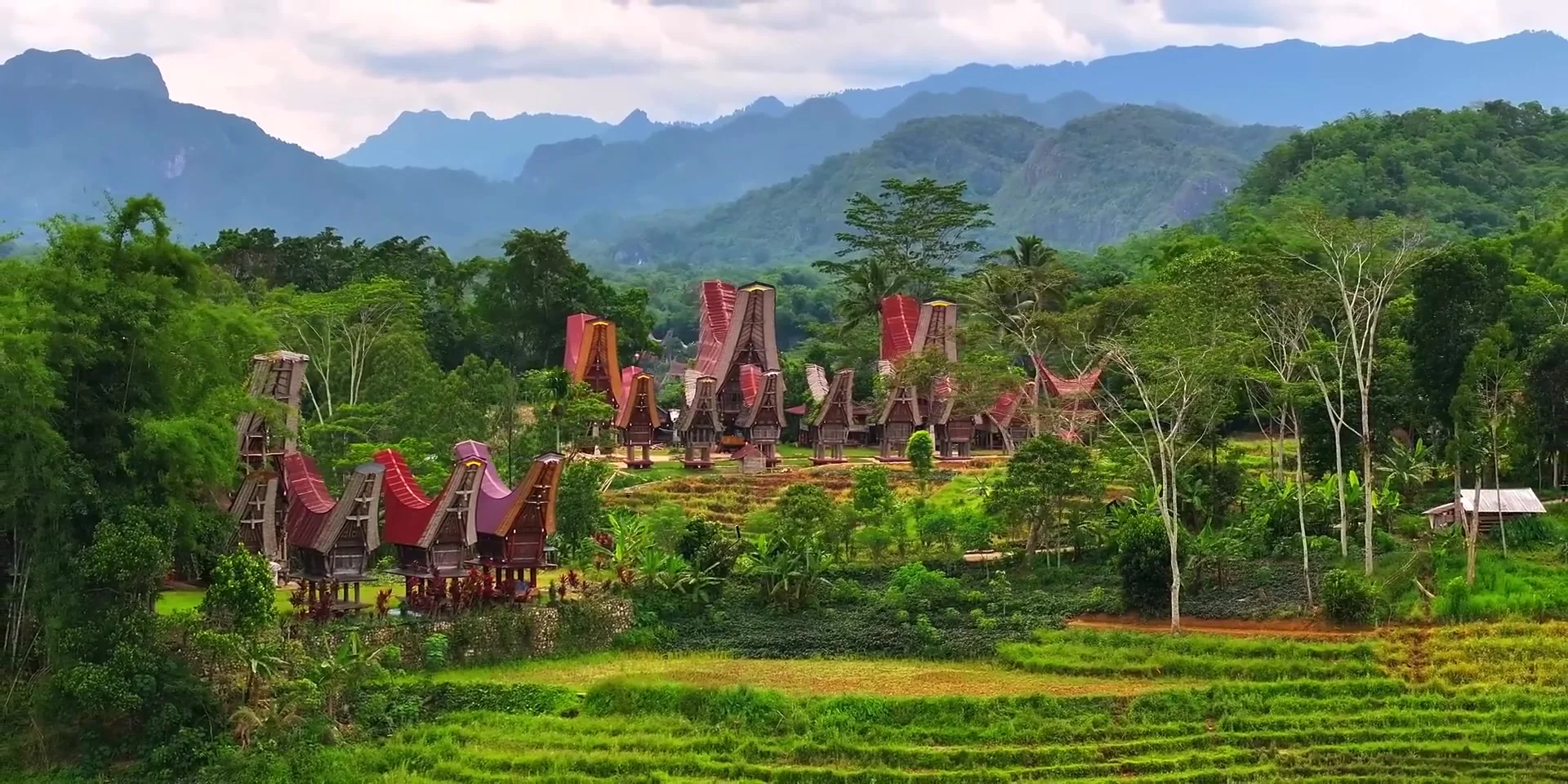 Warisan Suci Toraja: Upacara Pemakaman & Makam di Tepi Tebing