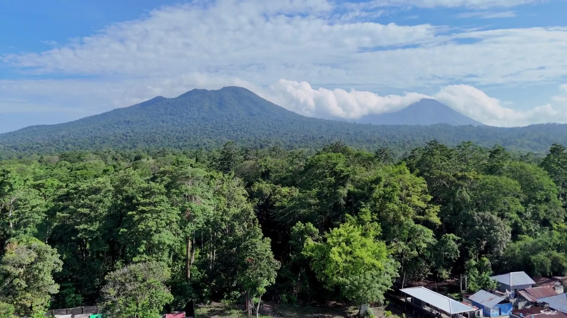 Ekspedisi Satwa Tangkoko: Tarsius, Monyet Hitam & Trek Hutan