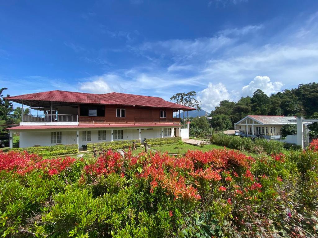 Villa Marion Tomohon
