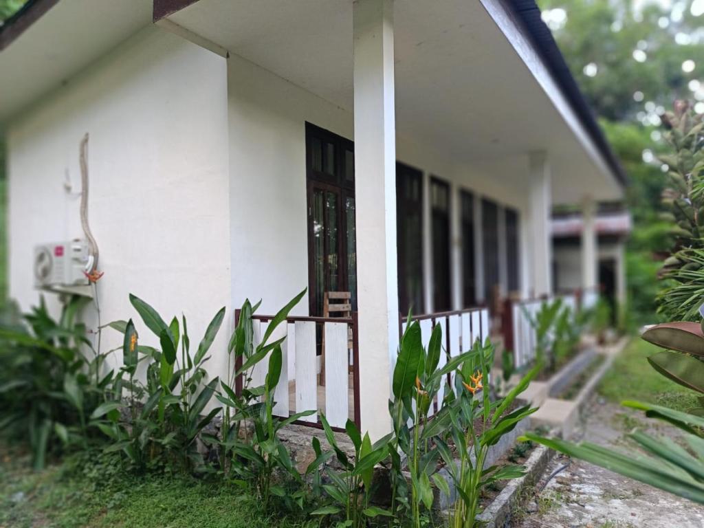 Tangkoko Sweet Home