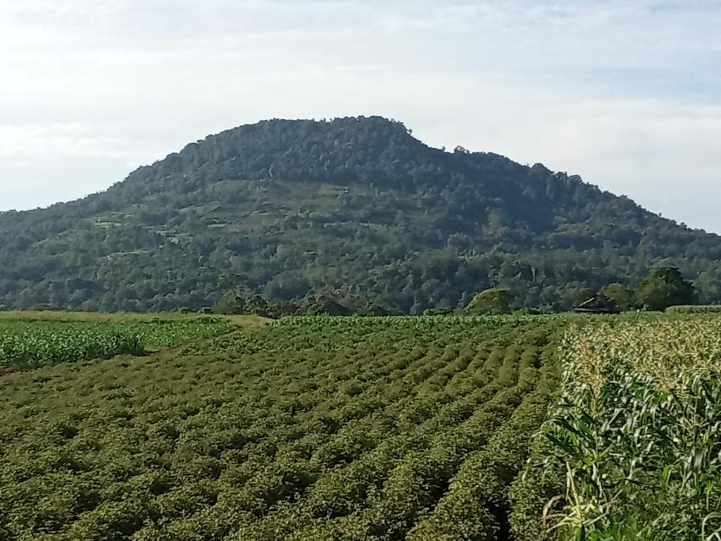 Castello