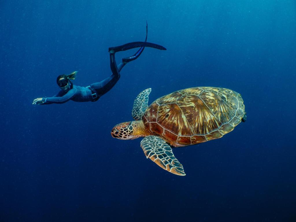 Bunaken Oasis Dive Resort and Spa
