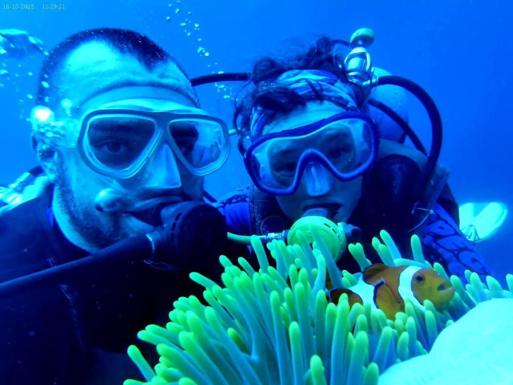 Hoga Island Dive Resort