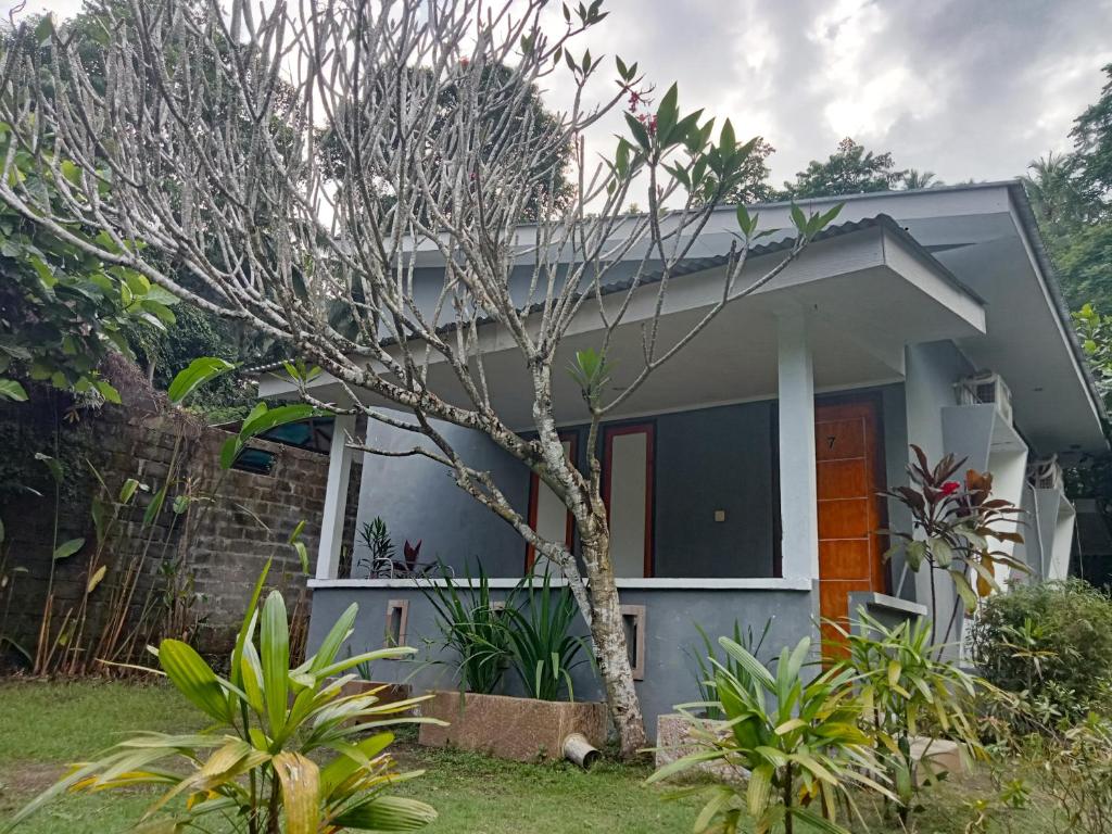 Tangkoko Ranger Homestay