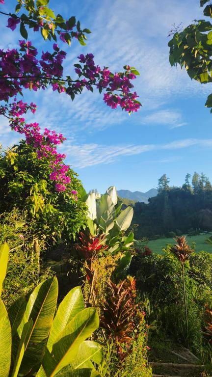 Serenity Homestay