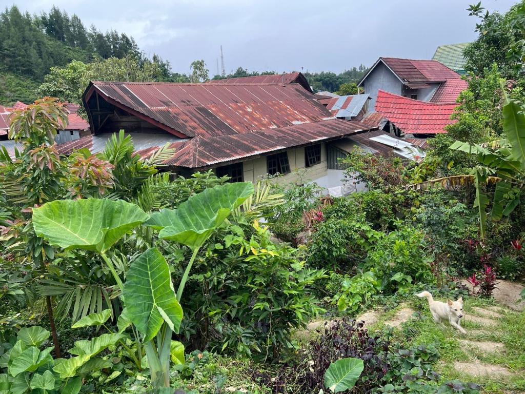 Mamasa Local House
