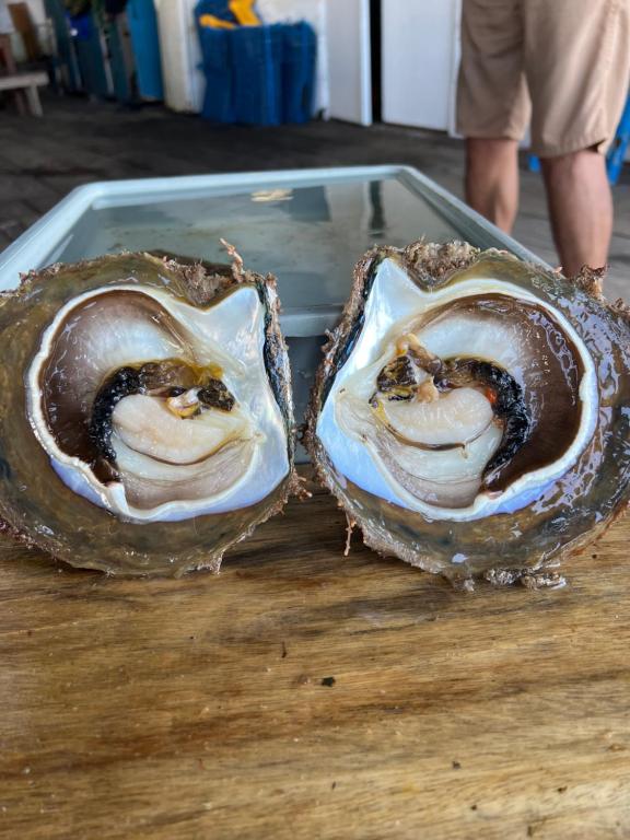 Kaya Kirana Lembeh