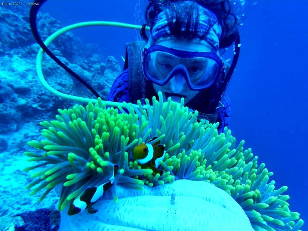 Hoga Island Dive Resort