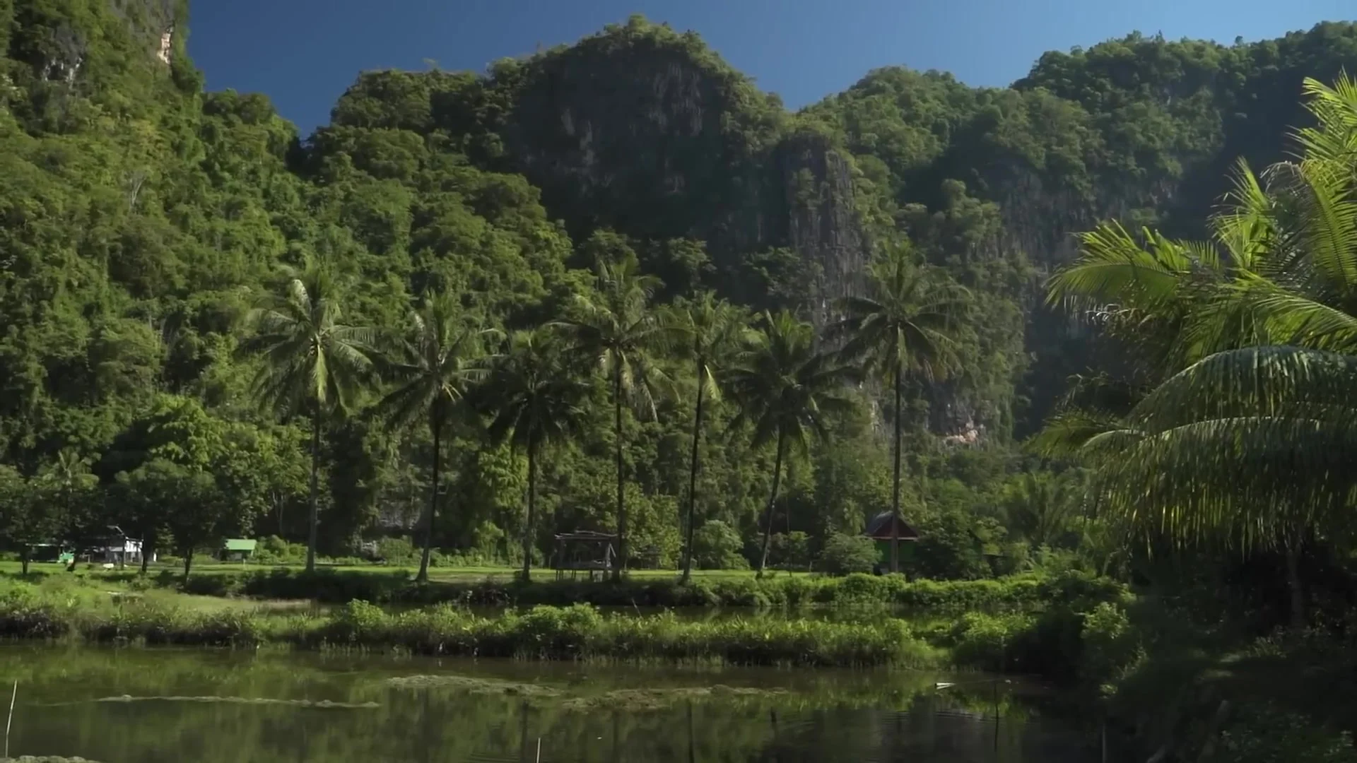Rammang Rammang