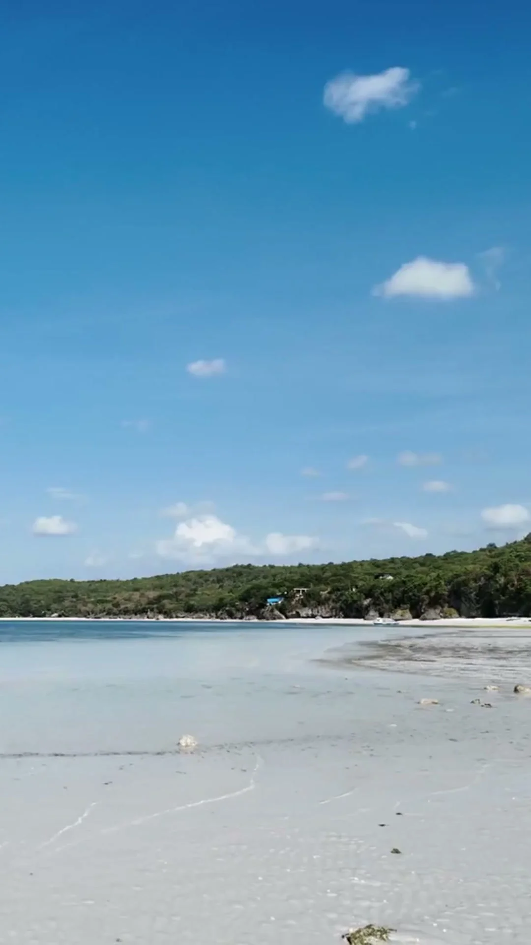 Bira