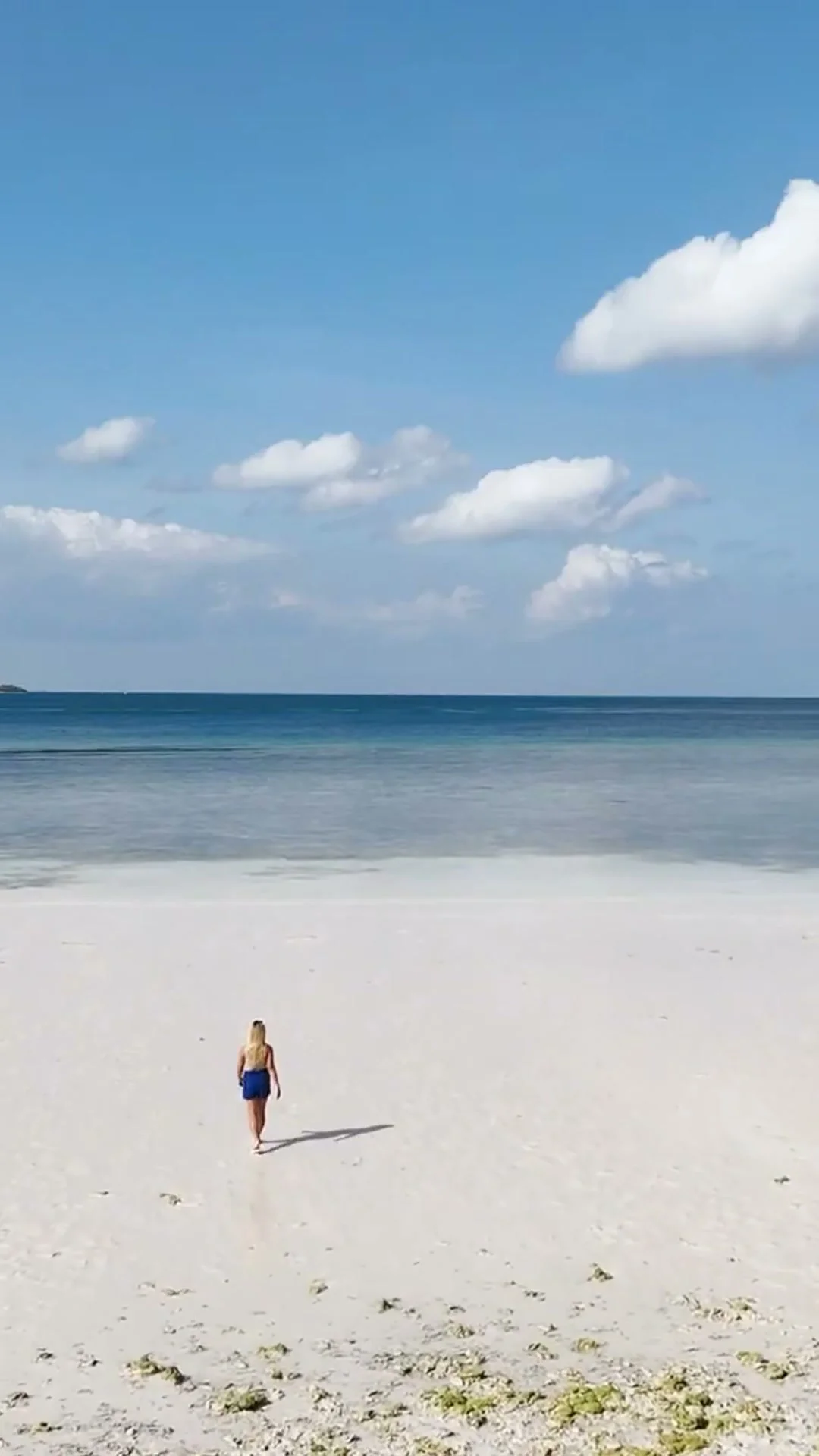 Bira