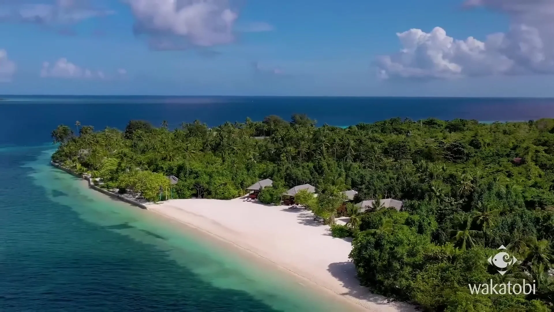 Wakatobi