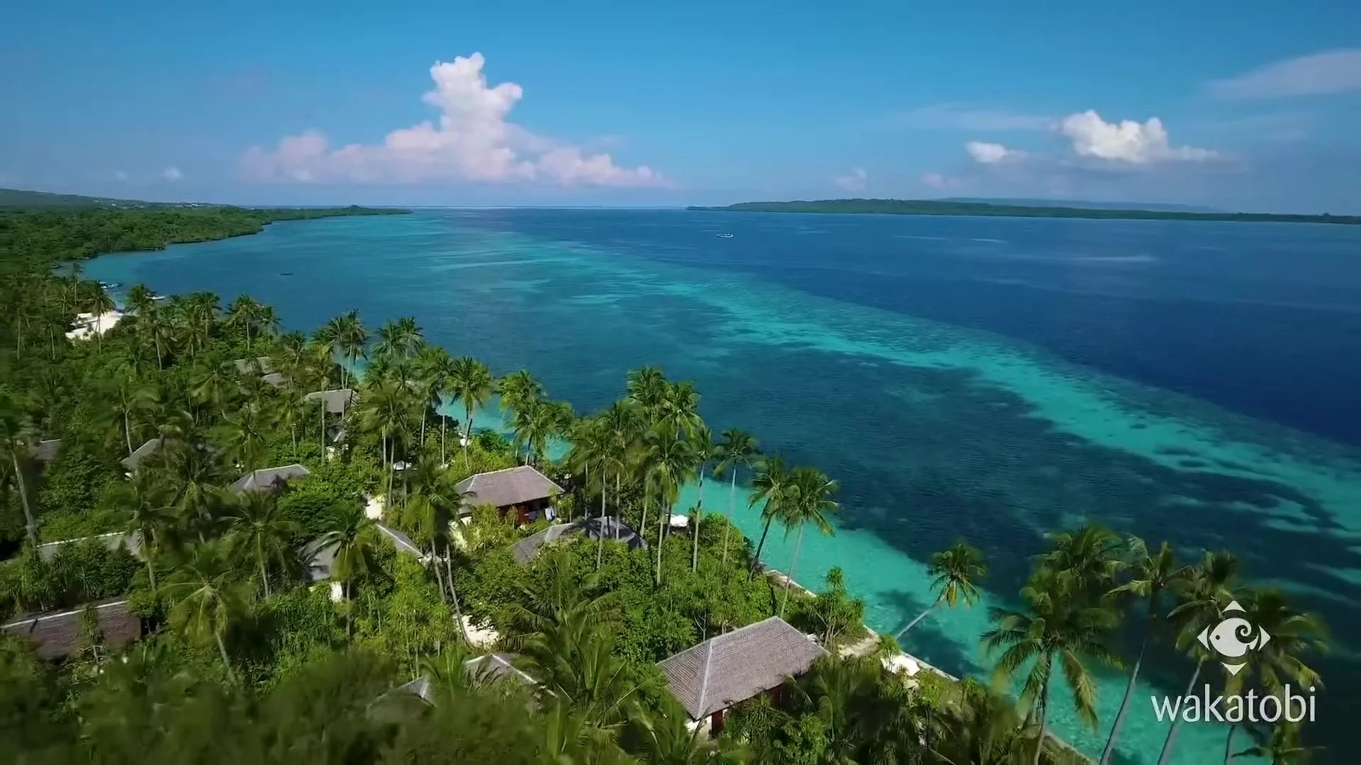 Wakatobi