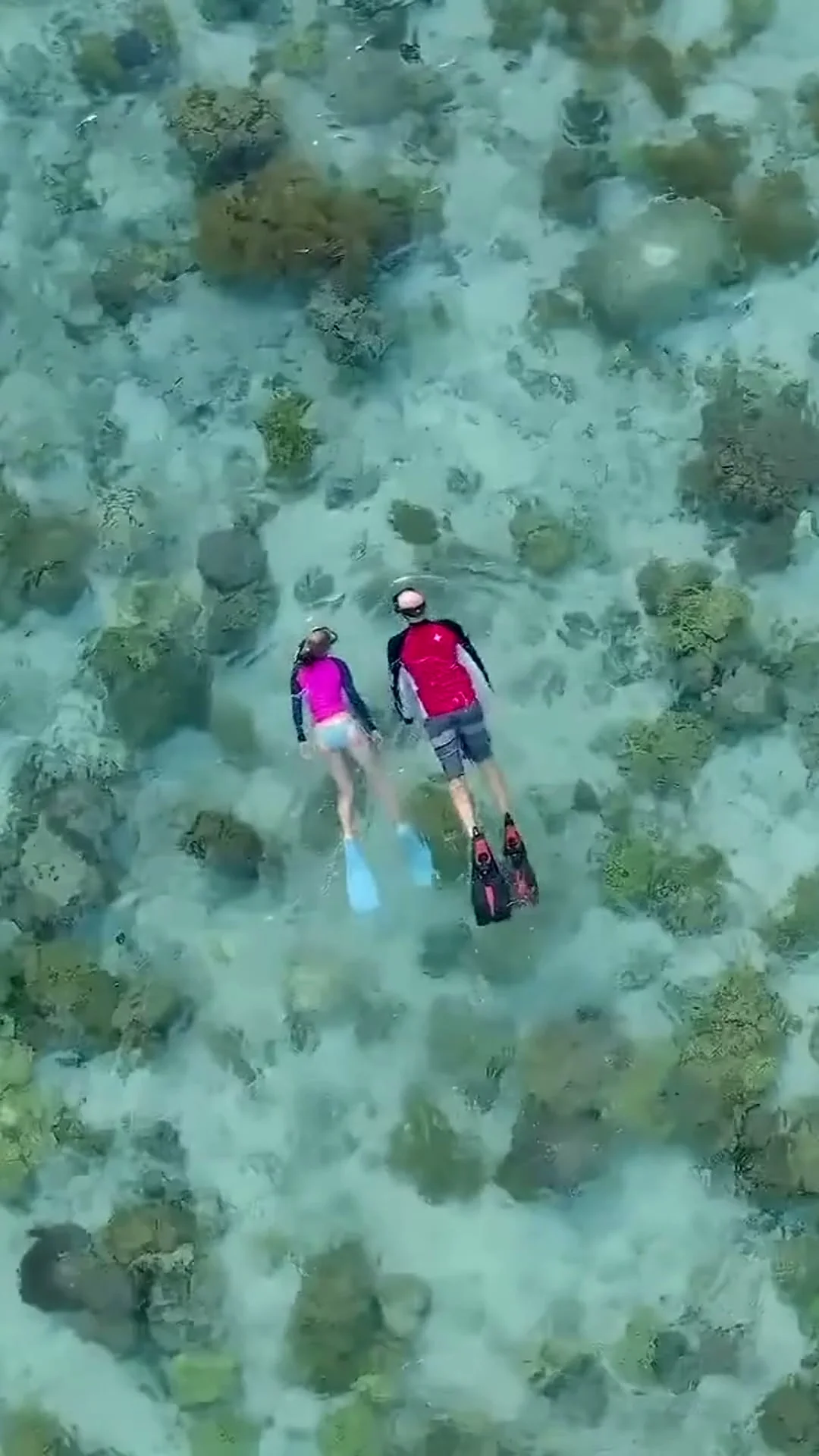 Wakatobi
