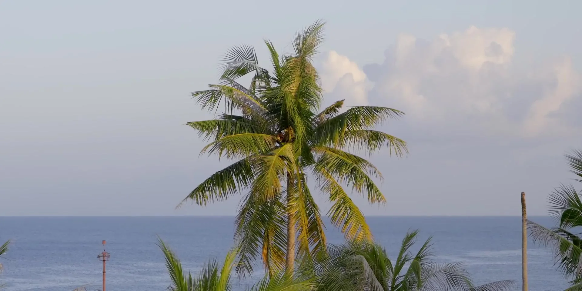 Wakatobi